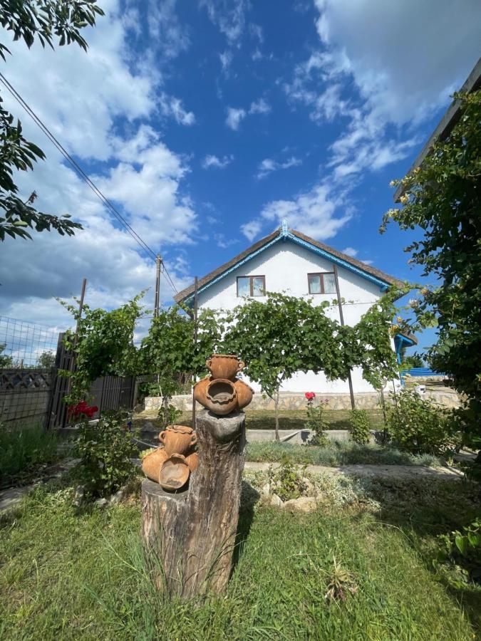 Casa Enisala Pensionat Exteriör bild